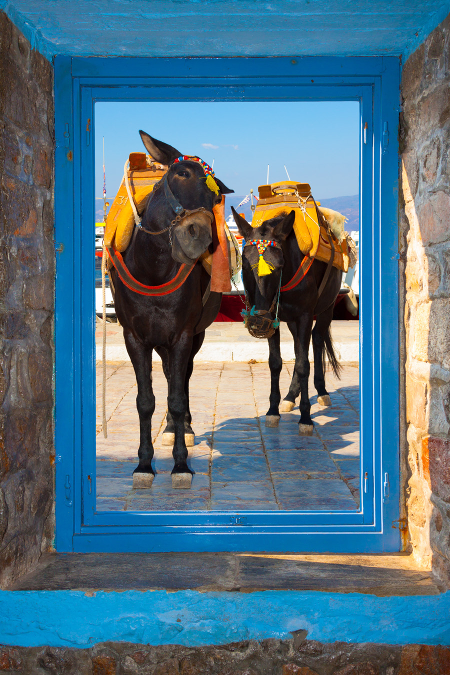 Griekenland - hydra ezels