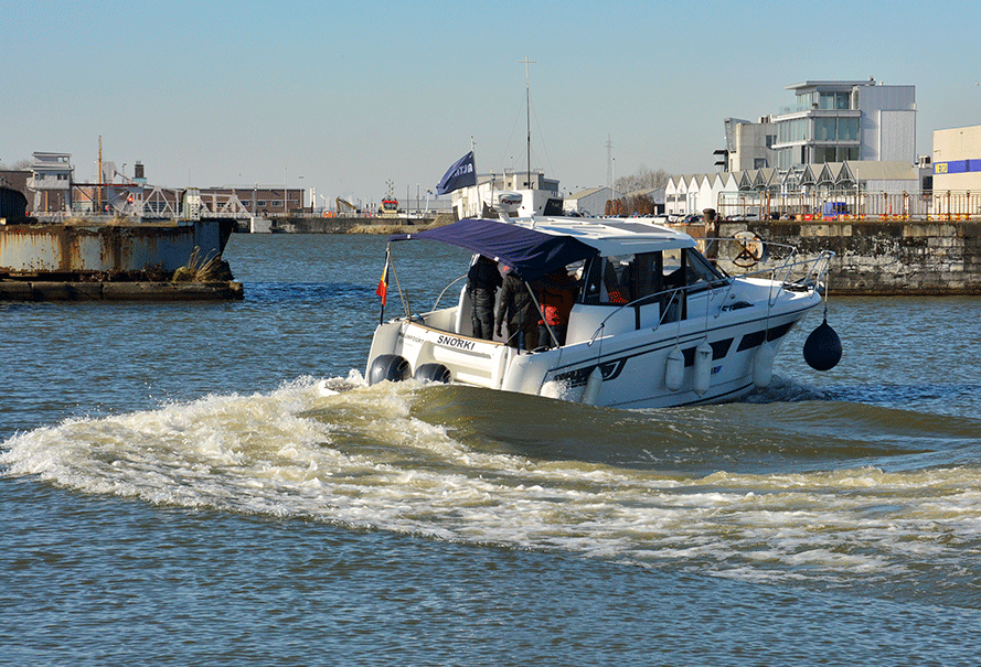 Snorki in Antwerpen